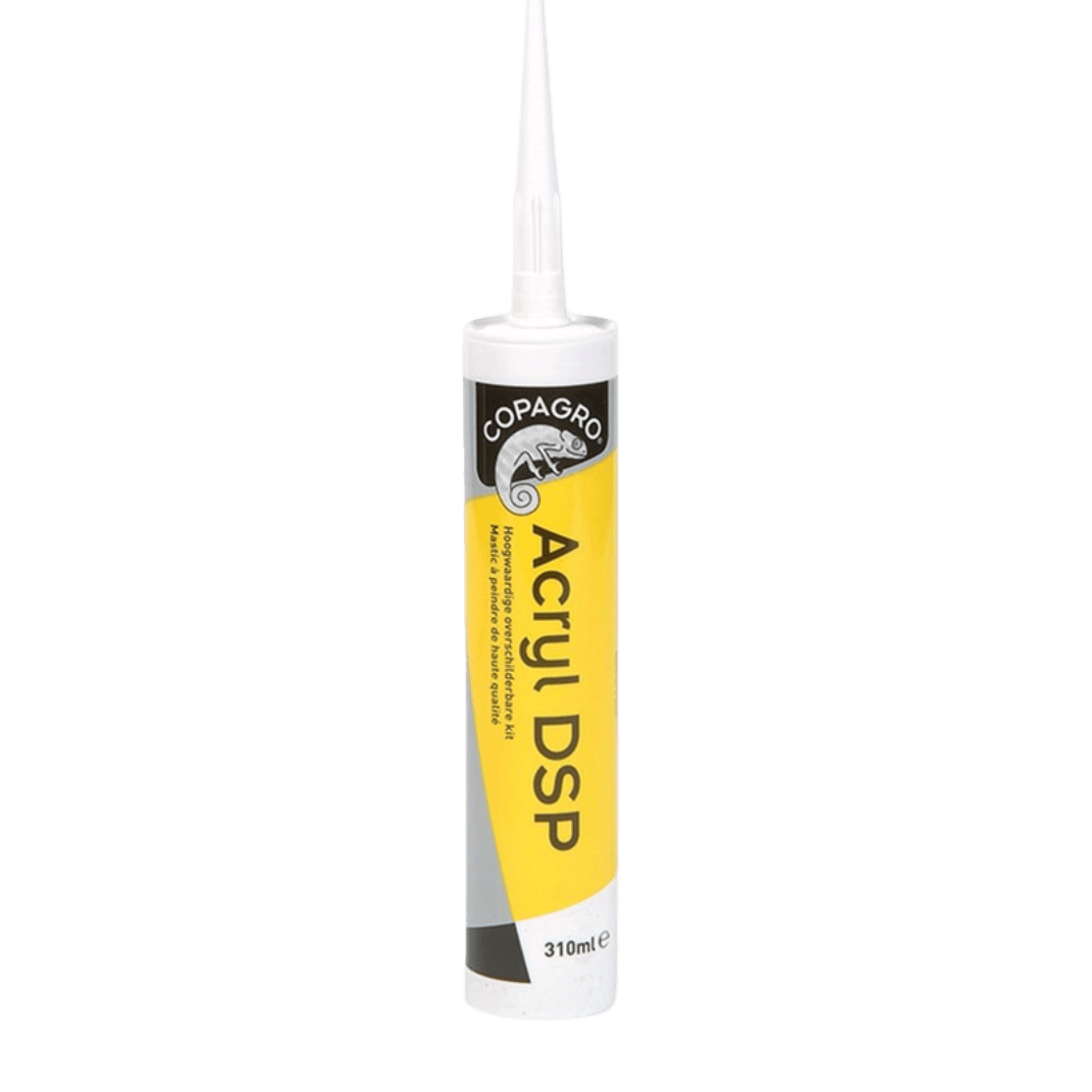 MASTIC ACRYLIQUE - ACRYL DSP-image